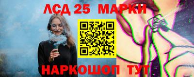 СК Новозыбков
