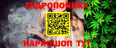 СК Новозыбков