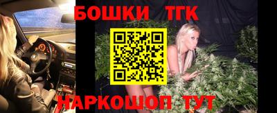 СК Новозыбков