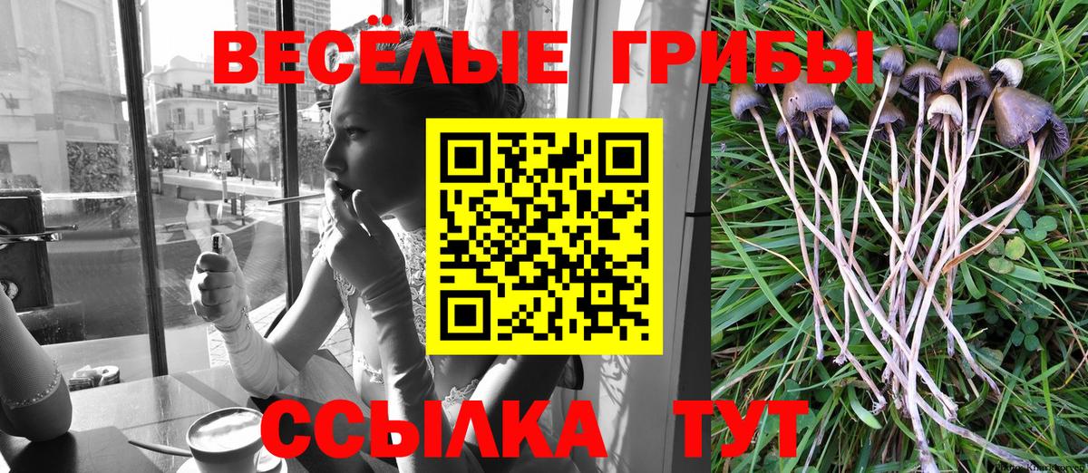 Галлюциногенные грибы Psilocybe  Вход с VPN  Галлюциногенные грибы мицелий  Дятьково 