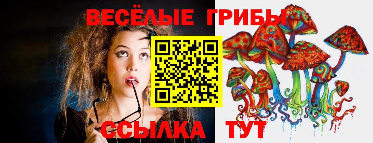 Псилоцибиновые грибы прущие грибы Дятьково